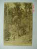 287 MALAISIA MALASYA STRAITS SETTLEMENTS MALAYAN JUNGLE ROAD    YEARS  1910  OTHERS IN MY STORE - Malesia