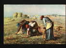 France Art Jean-Francois MILLET - DIE AEHRENLESERINNEN .. The GLEANERS , HARVEST HARVESTER 29900  STENGEL Pc 20740 - Cultures