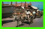 BARBADOS, WEST INDIES - DONKEY & HORSE DRAWN CARTS - ANIMATED - - Barbades