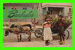 BARBADOS, WEST INDIES -  COCONUT VENDOR - - Barbados (Barbuda)