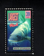 89536292 2006  (XX) Postfris Mint Never Hinged Scott 4061 Wonders Of America Largest Freshwater Fish - Nuevos