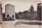 76. LILLEBONNE. RUINES DES DEUX TOURS ET LE PARC. Moutons. - Lillebonne