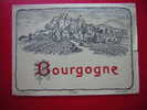 ETIQUETTE- BOURGOGNE -PLOUVIEZ & CIE N° 829 - Bourgogne