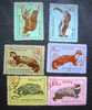 Bulgaria 1963 Complete Set Of 6 ANIMALS  - Fauna - Oblitérés