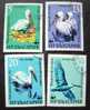 Bulgaria 1984 PELIKANE - FAUNA Animals Bird Birds - Set Of 4 - Usados