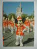 509 WALT DISNEY   DISNEY WORLD    POSTCARD     YEARS  1980  OTHERS IN MY STORE - Disneyworld