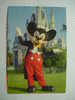 516 WALT DISNEY   DISNEY WORLD    POSTCARD     YEARS  1980  OTHERS IN MY STORE - Disneyworld