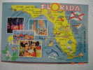 511 WALT DISNEY   DISNEY WORLD   FLORIDA  ORLANDO  POSTCARD     YEARS  1980  OTHERS IN MY STORE - Disneyworld