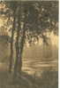 Forêt De Soignes - Zoniënwoud : Etang De Rouge Cloitre - Watermaal Bosvoorde / Boitsfort (1912) - Forêts, Parcs, Jardins