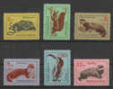 Bulgaria   -   1963.  Roditori E Mustelidi .  Rodents And Mustelids.  Complete  Set.   MNH - Nager