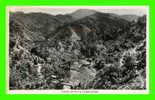 JAMAIQUE,   EN ROUTE TO CASTLETON - TRAVEL IN 1953 - REAL PHOTOGRAPH - - Jamaica