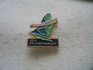 Pin´s EDF Environnement - EDF GDF