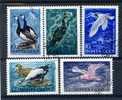 Russia USSR Soviet Union  Oiseaux URSS Animals Fauna Water Birds Seagulls Geese 1972 Used - Gabbiani