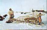 Alaska Eskimo Sled And Dogs Année 1960 - Other & Unclassified