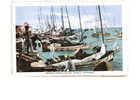 BAHAMAS Nassau, Port, Sponge Fishing Boats, Colorisée, Ed Sand's Studio 17, 193? - Bahamas