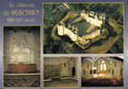 Carte Postale 56. Sarzeau  Le Chateau De Suscinio Trés Beau Plan - Sarzeau
