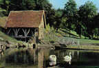 Carte Postale 80. Naours  Le Moulin à Eau Et Les Cygnes  Grottes Historiques Trés Beau Plan - Naours