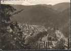 D-07429 Sitzendorf Im Schwarzatal - Blick Vom Annafels Auf Den Bahnhof - Rudolstadt