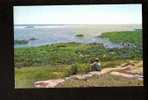 View From Mt. Battie, Camden, Maine - Other & Unclassified