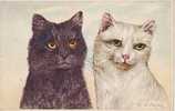 Illustrateurs - Chats - Chat - Cats - Cat - Chat Noir - S449 - Illustrateur Cooper - Bon état - Katzen