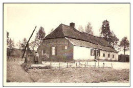 KASTERLEE-OPPERHOEVE VAN LEENHOFF-TERLO - Kasterlee