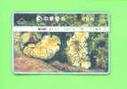 TAIWAN - Optical Phonecard As Scan - Taiwan (Formosa)