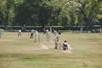 F- Ck 24 ^^  Cricket   , ( Postal Stationery , Articles Postaux ) - Cricket