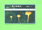 TAIWAN - Optical Phonecard As Scan - Taiwan (Formose)