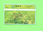 TAIWAN -  Optical Phonecard As Scan - Taiwan (Formose)