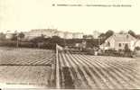 44260 SAVENAY - PANORAMA Vers 1915 - Savenay