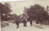 PARIS VECU  JARDIN D ACCLIMATATION ELEPHANT MONTE - Lotti, Serie, Collezioni