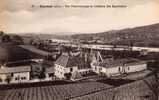 SEYSSEL    VUE PANORAMIQUE ET LE CHATEAU DES SEYCHALLETS - Seyssel