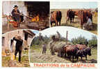 *1029*  Traditions De La CAMPAGNE - Culturas
