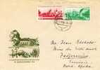 Lettre De Berlin Liohteneerg Pour Tadjerouine Tunisie 1958 - Briefe U. Dokumente