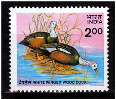 INDIA 1985 Mi.No. 1021 Indien Birds Oiseaux White-winged Duck 1v MNH** 11,00 € - Ducks