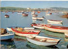 CP Le Conquet Le Port 29 Finistère Bateaux Barques Casiers à Crabes Homards - Le Conquet