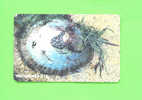 SOUTH AFRICA - Chip Phonecard As Scan - South Africa