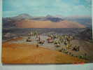 1162 LANZAROTE MONTAÑA DEL FUEGO CANARIAS CANARY ISLANDS AÑOS 1970 OTRAS SIMILARES EN MI TIENDA - Lanzarote