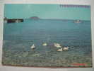 1147 FUERTEVENTURA  CORRALEJO ISLA DE LOBOS CANARIAS CANARY ISLANDS AÑOS 1970 OTRAS SIMILARES EN MI TIENDA - Fuerteventura