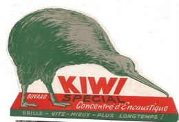 Buvard Kiwi Special - K