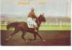 Sports - Hippisme - Hippodrome - Courses De Chevaux -Trot Monté- Postillon -Au Dos Calendrier Des Courses Septembre 1967 - Other & Unclassified