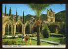 OLD PHOTO POSTCARD BELLAPAIS ABBEY CYPRUS CARTE POSTALE - Cipro