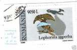 POSTA ROMANIA - "LOPHORINA SUPERBA" 9050 L ANNEE 2000 OBLITERE - Lotes & Colecciones