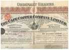 THE CAPE COPPER COMPANY LTD (5 Shares) - Mines