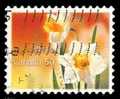 Canada (Scott No.2093 - Jonquille / Daffodil) (o) - Usados