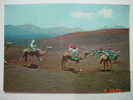 1489   LANZAROTE  MONTAÑA DE FUEGO CAMELLOS CAMEL CANARIAS CANARY ISLANDS AÑOS 1970  MIRA OTRAS SIMILARES EN MI TIENDA - Lanzarote