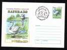 COVER ENTIER POSTAUX, BIRD CYGNUS  OLOR,1999,obliteration Concordante,postal Stationery Cover Romania. - Cygnes