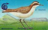 ST HELENA 15 £ WIRE BIRD BIRDS   STH-9  GPT CV$70 US  2000 ONLY !!  READ DESCRIPTION !! - Isla Santa Helena