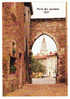 BOURG EN BRESSE - La Porte Des Jacobins Datant De 1437 - Brou Church