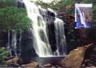 Australia 2008 Waterfalls First Day Maxicard $4.10 Mackenzie Falls - Storia Postale